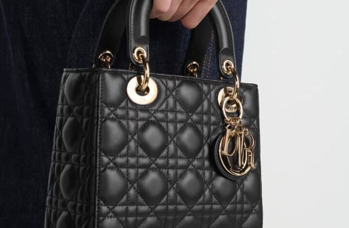 dior handbags